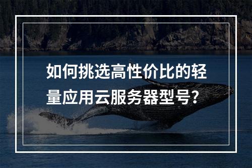 如何挑选高性价比的轻量应用云服务器型号？
