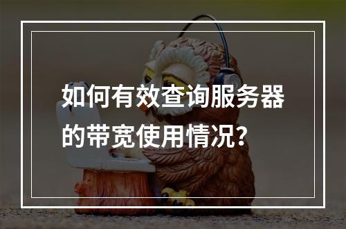 如何有效查询服务器的带宽使用情况?