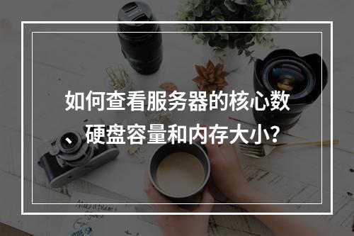 如何查看服务器的核心数、硬盘容量和内存大小?