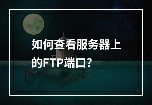 如何查看服务器上的FTP端口?