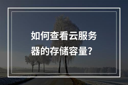 如何查看云服务器的存储容量？