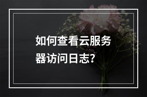 如何查看云服务器访问日志？