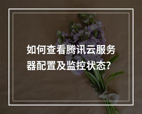 如何查看腾讯云服务器配置及监控状态？