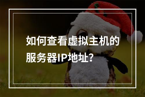 如何查看虚拟主机的服务器IP地址？