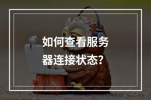 如何查看服务器连接状态?