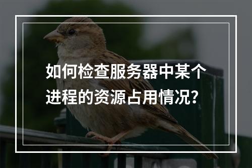如何检查服务器中某个进程的资源占用情况?