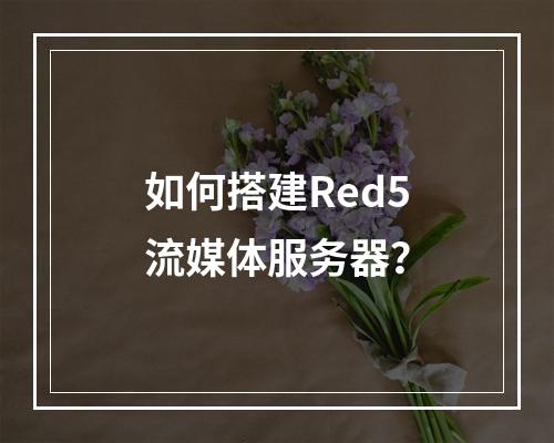 如何搭建Red5流媒体服务器?