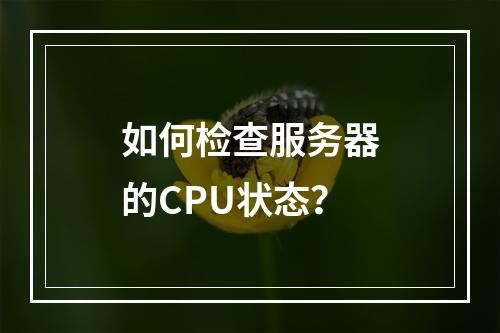 如何检查服务器的CPU状态?
