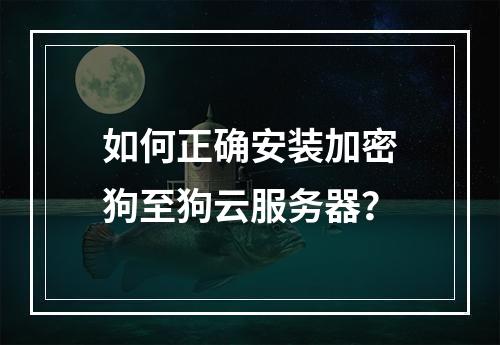 如何正确安装加密狗至狗云服务器？