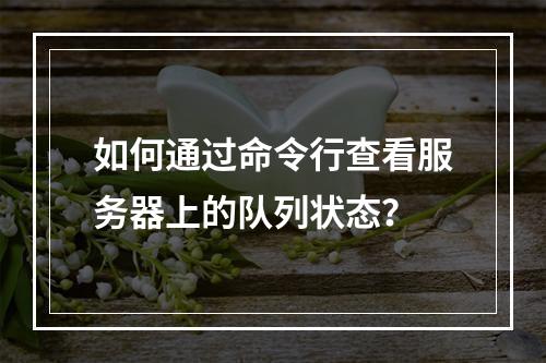 如何通过命令行查看服务器上的队列状态?