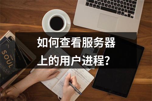 如何查看服务器上的用户进程?