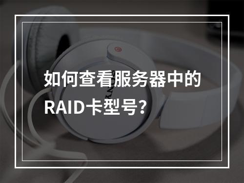如何查看服务器中的RAID卡型号?