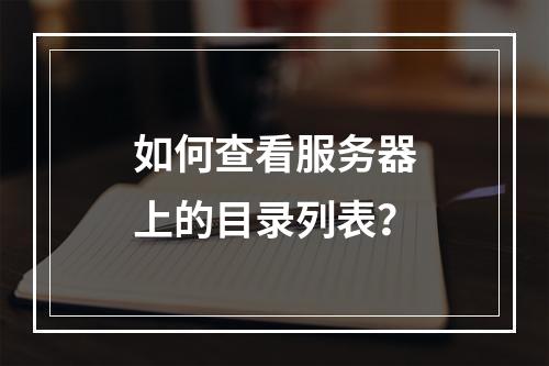 如何查看服务器上的目录列表?