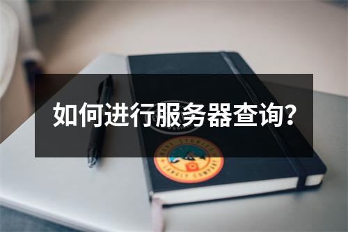 如何进行服务器查询?