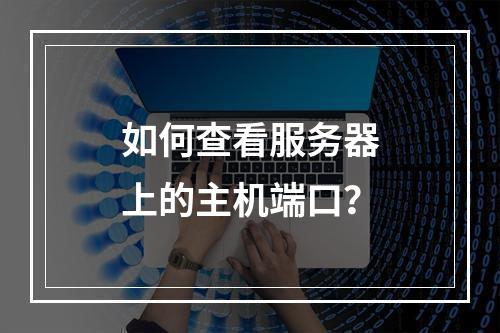 如何查看服务器上的主机端口?