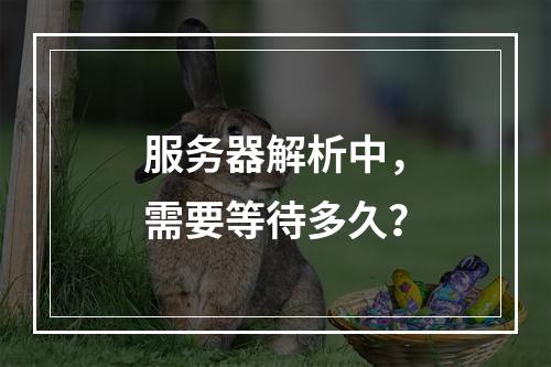服务器解析中,需要等待多久?