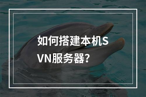 如何搭建本机SVN服务器?