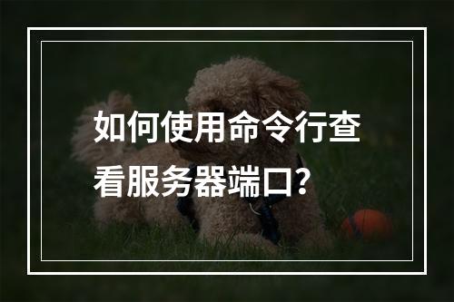 如何使用命令行查看服务器端口?