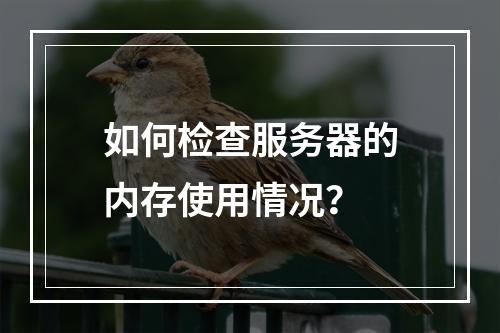 如何检查服务器的内存使用情况?