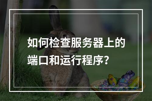 如何检查服务器上的端口和运行程序?