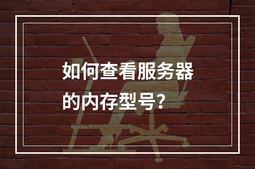 如何查看服务器的内存型号?