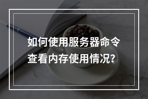 如何使用服务器命令查看内存使用情况?