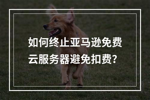 如何终止亚马逊免费云服务器避免扣费？