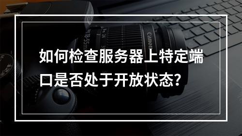 如何检查服务器上特定端口是否处于开放状态?
