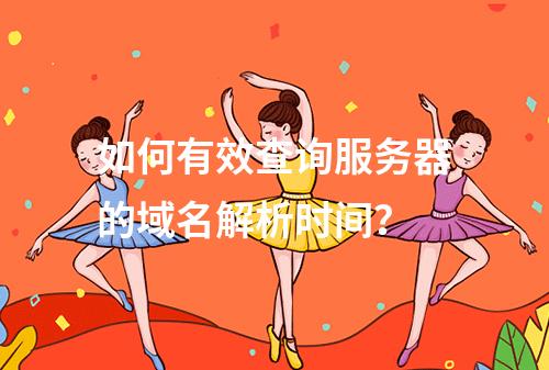 如何有效查询服务器的域名解析时间?