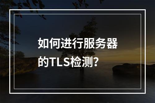 如何进行服务器的TLS检测?