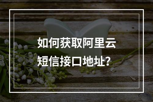 如何获取阿里云短信接口地址？
