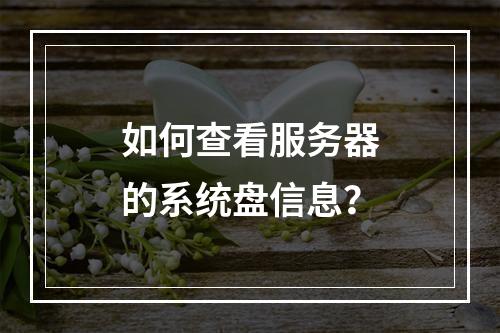 如何查看服务器的系统盘信息?