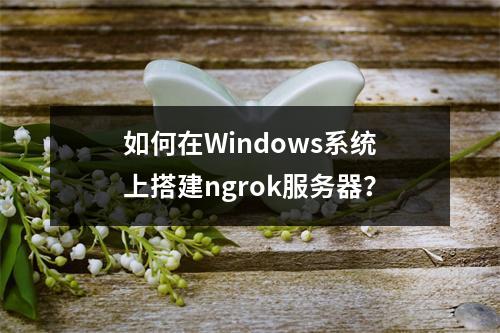 如何在Windows系统上搭建ngrok服务器?