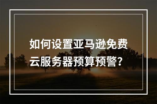 如何设置亚马逊免费云服务器预算预警？