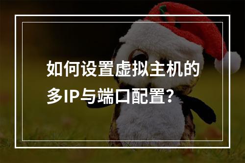 如何设置虚拟主机的多IP与端口配置？