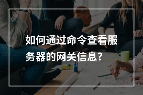 如何通过命令查看服务器的网关信息?