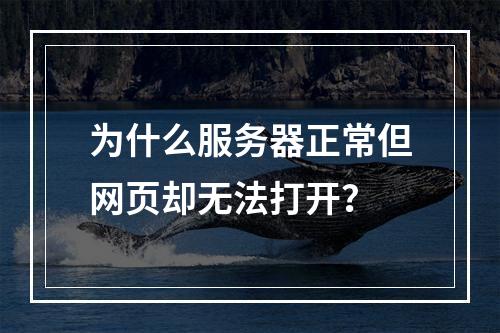 为什么服务器正常但网页却无法打开?