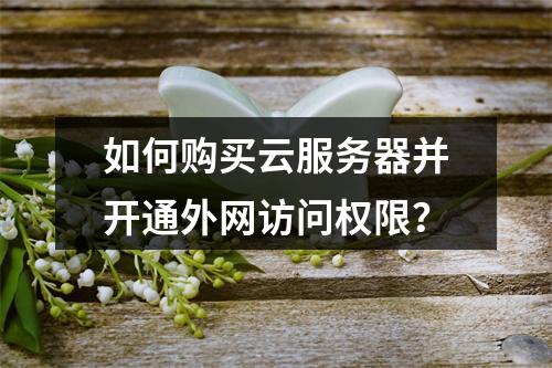 如何购买云服务器并开通外网访问权限？