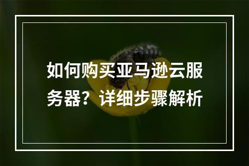 如何购买亚马逊云服务器？详细步骤解析