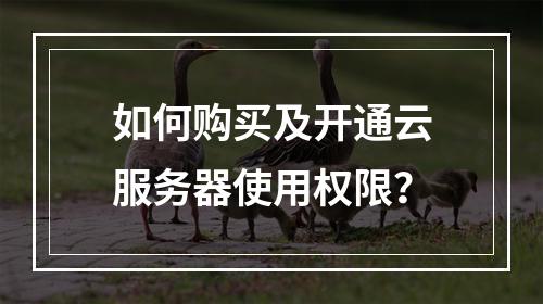 如何购买及开通云服务器使用权限？