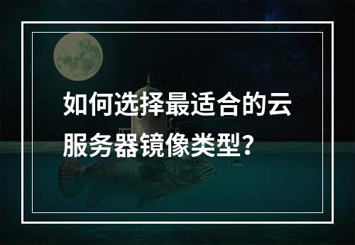 如何选择最适合的云服务器镜像类型？