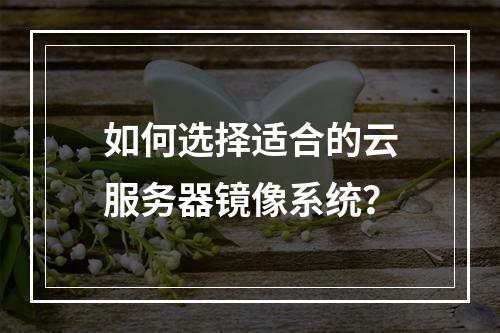 如何选择适合的云服务器镜像系统？