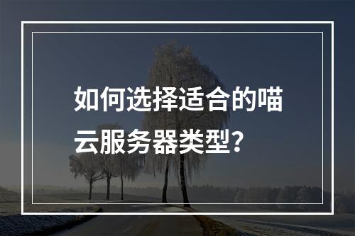 如何选择适合的喵云服务器类型？