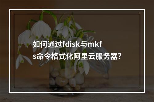 如何通过fdisk与mkfs命令格式化阿里云服务器？