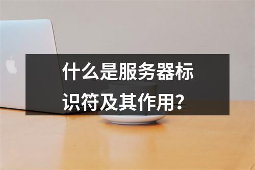 什么是服务器标识符及其作用?