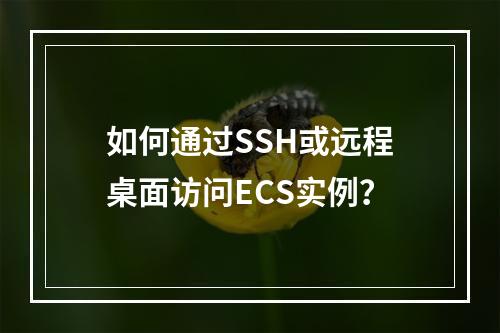 如何通过SSH或远程桌面访问ECS实例？