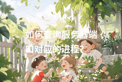 如何查询服务器端口对应的进程?