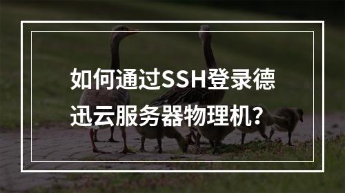 如何通过SSH登录德迅云服务器物理机？