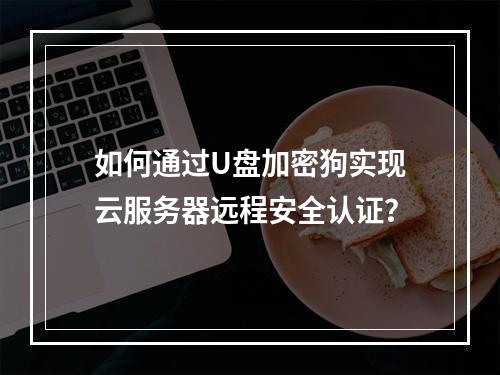 如何通过U盘加密狗实现云服务器远程安全认证？