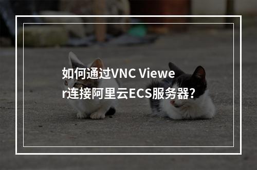 如何通过VNC Viewer连接阿里云ECS服务器？